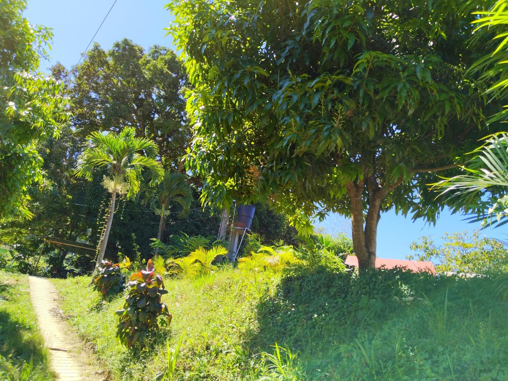 민카 Casa Magica 빌라 외부 사진
